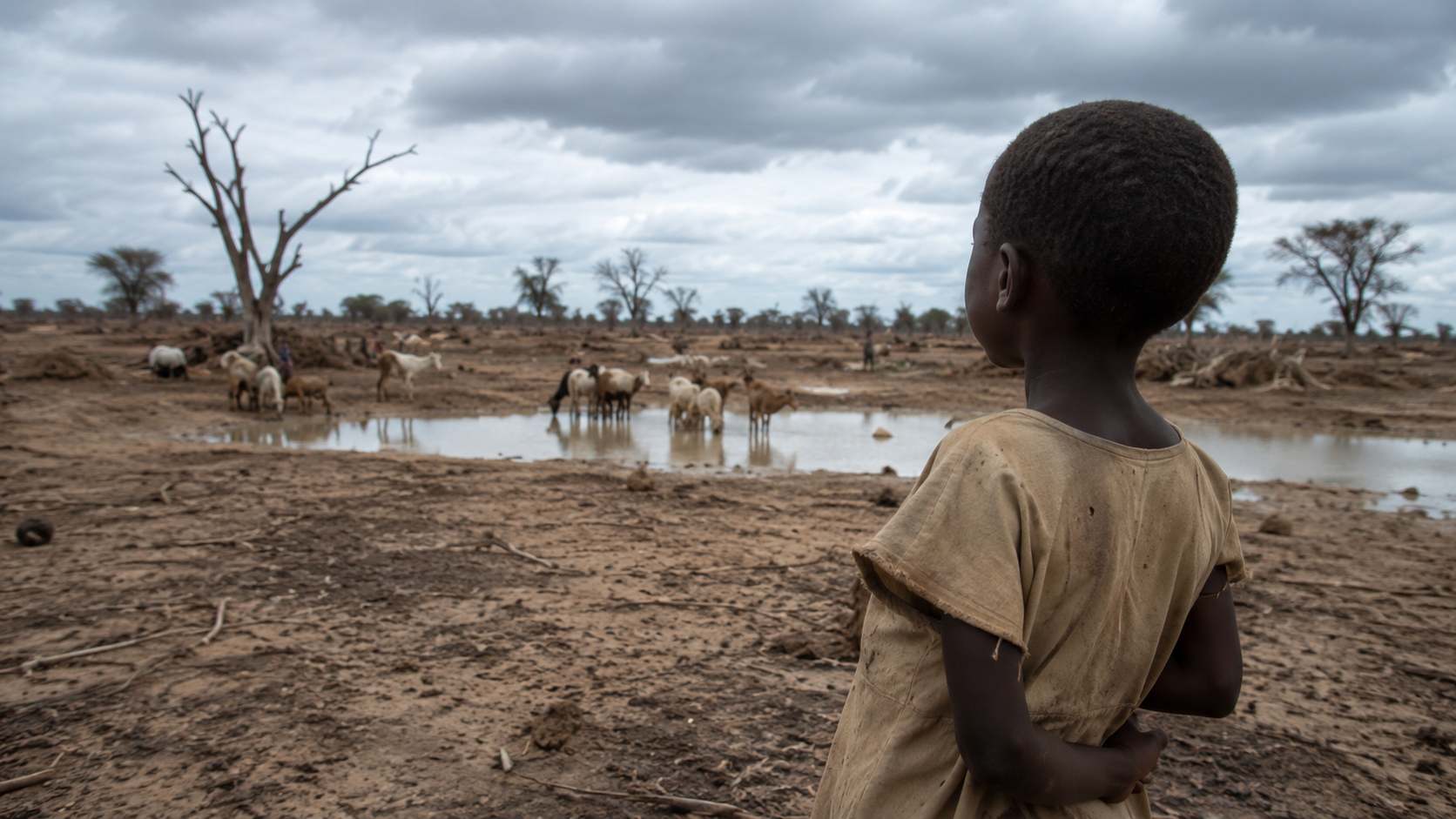 The Silent Erosion: Climate Change and the Systemic Threat to Child Rights Enforcement in Kenya.